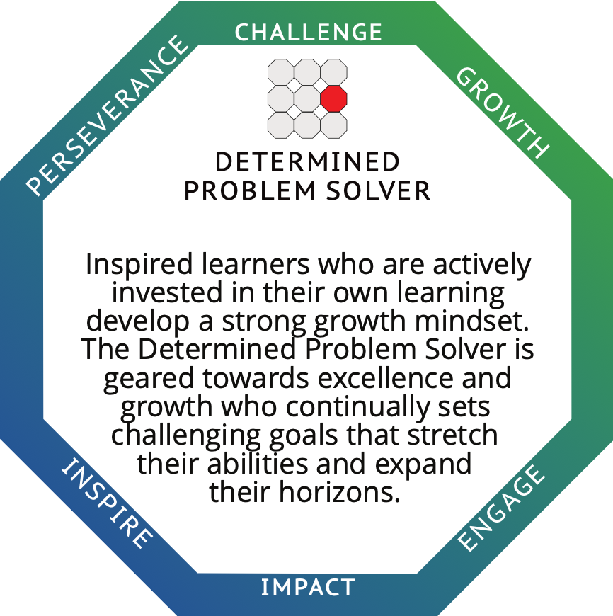 Determined Problem-Solver profile card